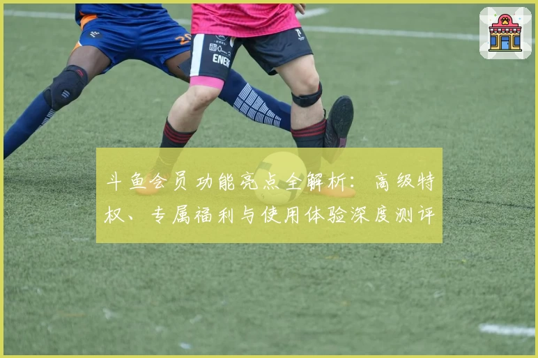 斗鱼会员功能亮点全解析：高级特权、专属福利与使用体验深度测评