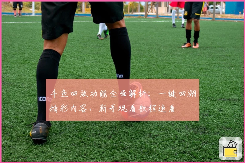 斗鱼回放功能全面解析:一键回溯精彩内容,新手观看教程速看