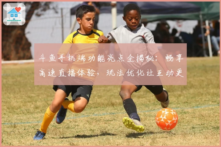 斗鱼手机端功能亮点全揭秘：畅享高速直播体验，玩法优化让互动更贴心