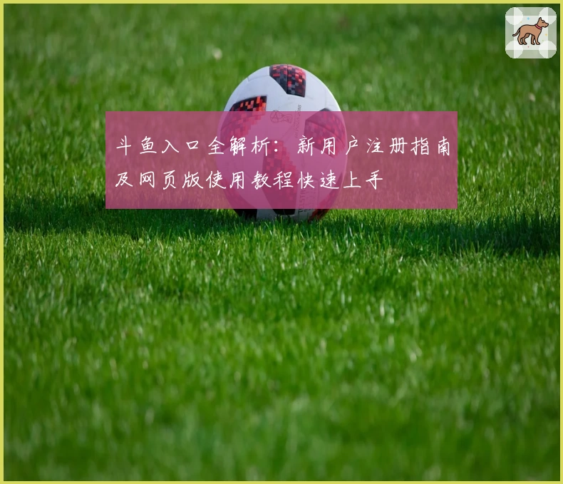 斗鱼入口全解析：新用户注册指南及网页版使用教程快速上手