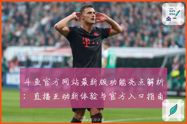 斗鱼官方网站最新版功能亮点解析：直播互动新体验与官方入口指南