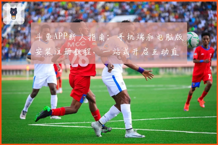 斗鱼APP新人指南：手机端和电脑版安装注册教程，一站式开启互动直播体验