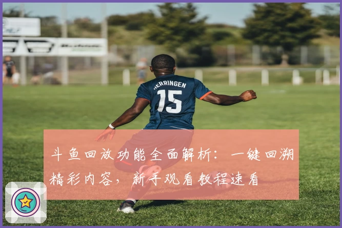 斗鱼回放功能全面解析：一键回溯精彩内容，新手观看教程速看