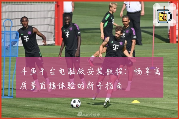 斗鱼平台电脑版安装教程：畅享高质量直播体验的新手指南